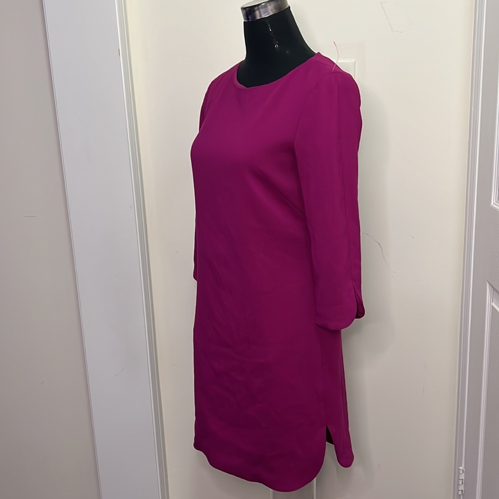 Eliza J Fushia Color Sheath Gold Zipper Lined Dress Size 4